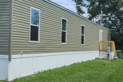 lot-155-3